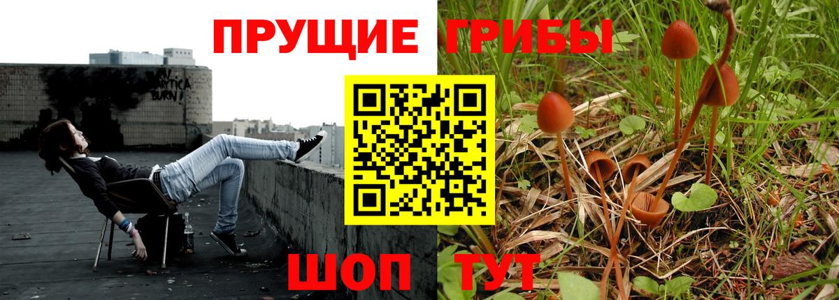 Шатура  Псилоцибиновые грибы мухоморы  Вход с VPN 