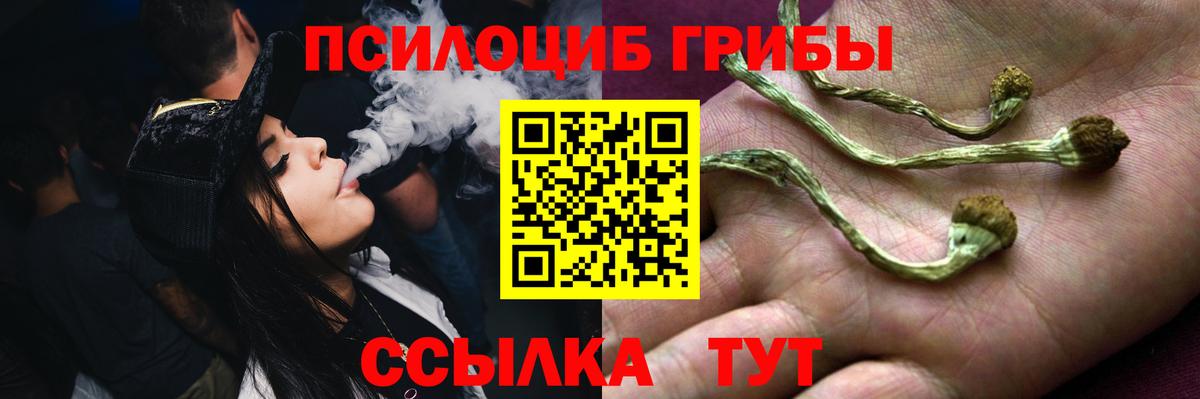 Галлюциногенные грибы Psilocybine cubensis Шатура